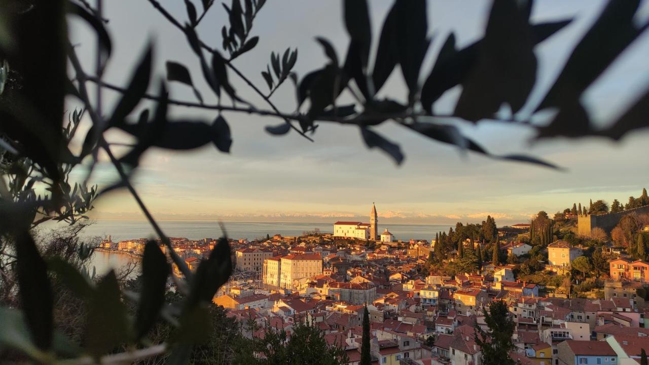Apartma Erik Apartmán Piran
